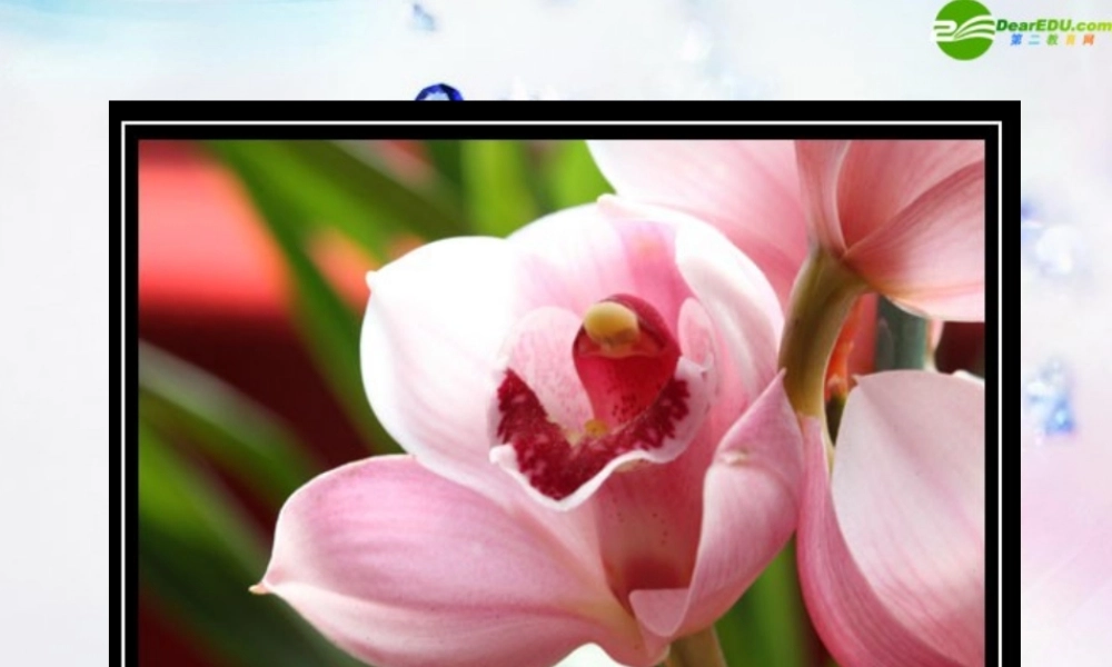 八年级地理下册 天涯海角—海南课件 湘教版 课件