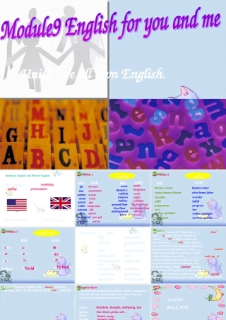九年级英语下册 Module9 Unit2 We all own English课件 外研版 课件