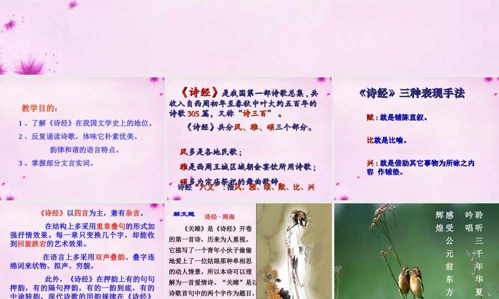 九年级语文下册 24 诗经 关雎课件 新人教版 课件