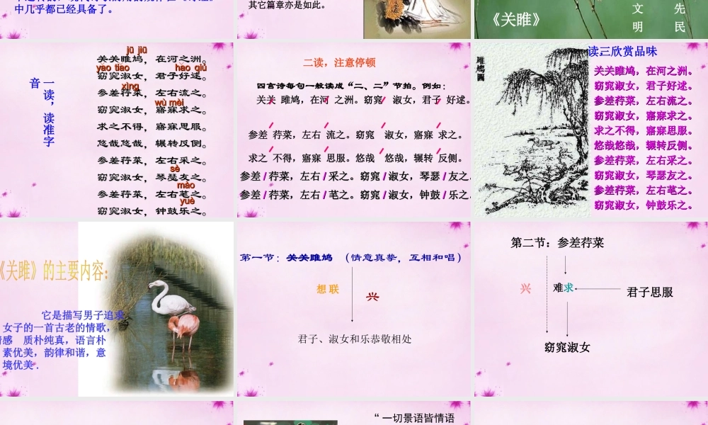 九年级语文下册 24 诗经 关雎课件 新人教版 课件