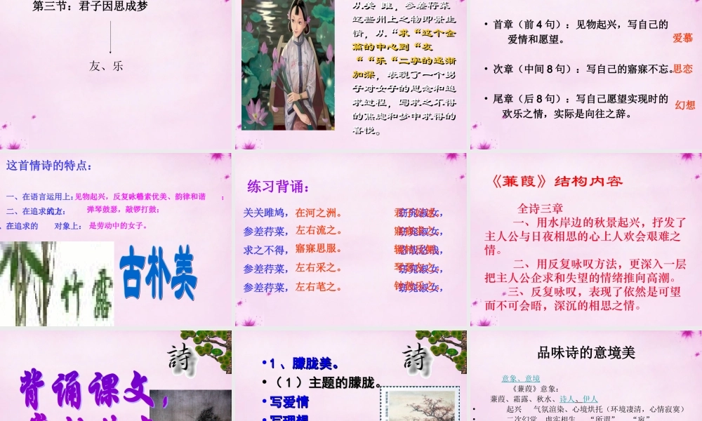 九年级语文下册 24 诗经 关雎课件 新人教版 课件