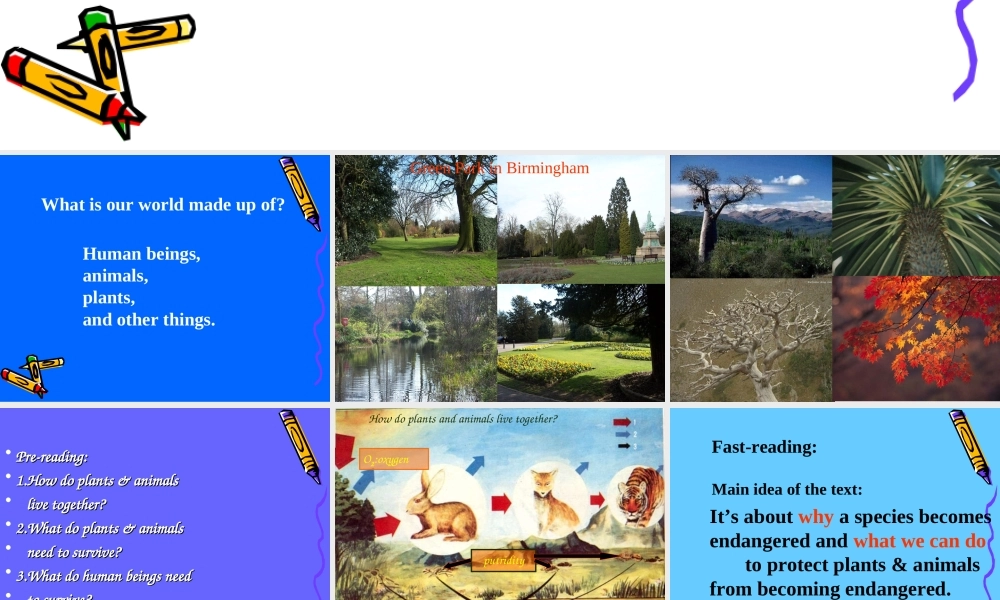 人教版高一英语Unit10 The world around us1 课件