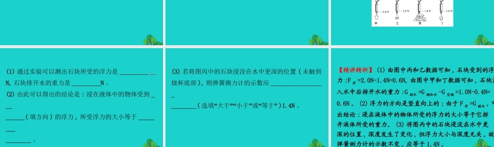 八年级物理下册 10.2阿基米德原理习题课件 (新版)新人教版 课件