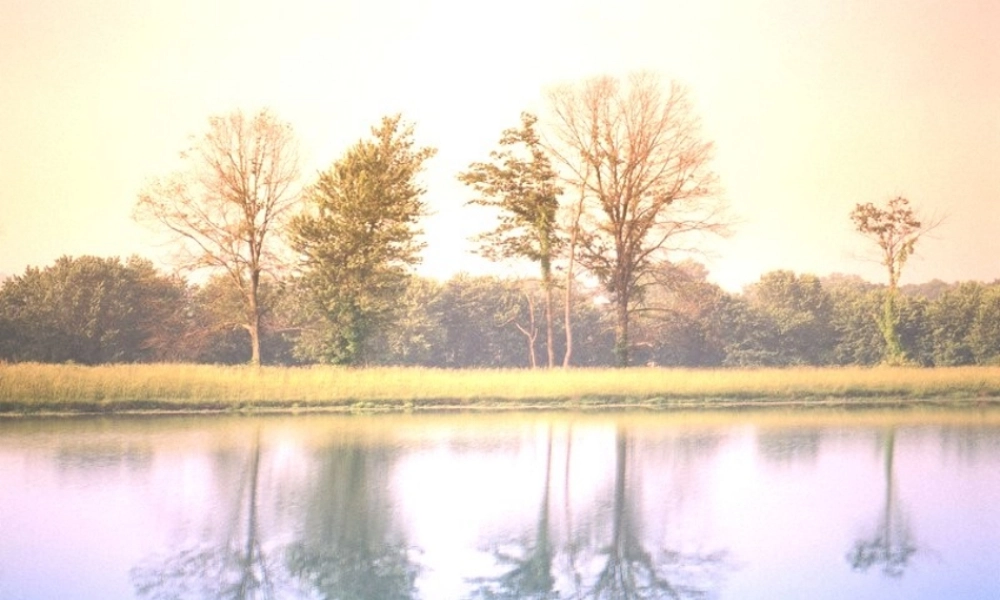 人教版高二英语Unit17 Disabilities 课件