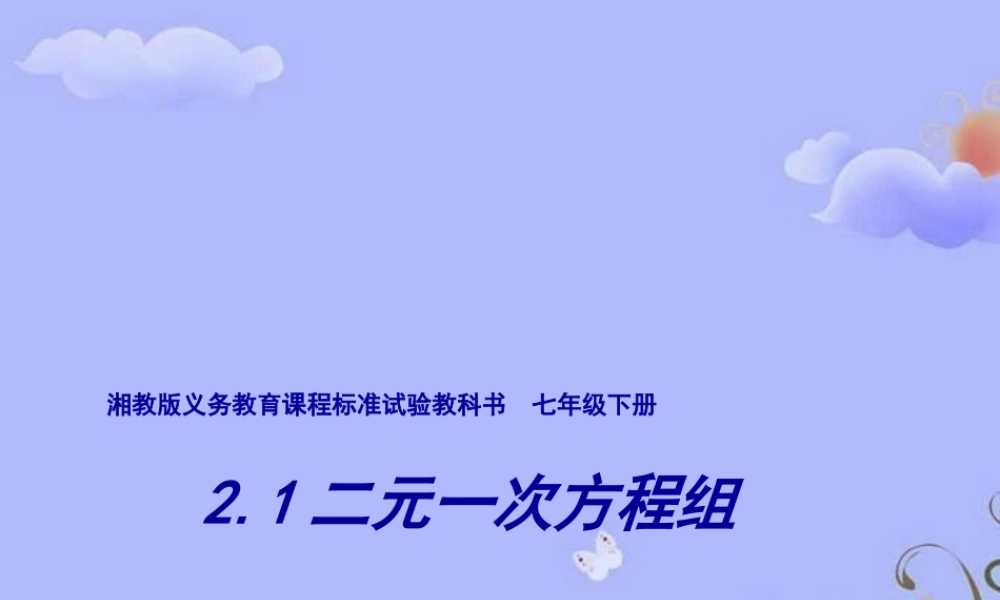 七年级数学下册 2.1二元一次方程组课件 湘教版 课件