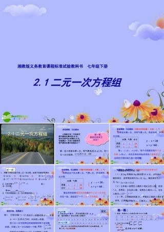 七年级数学下册 2.1二元一次方程组课件 湘教版 课件