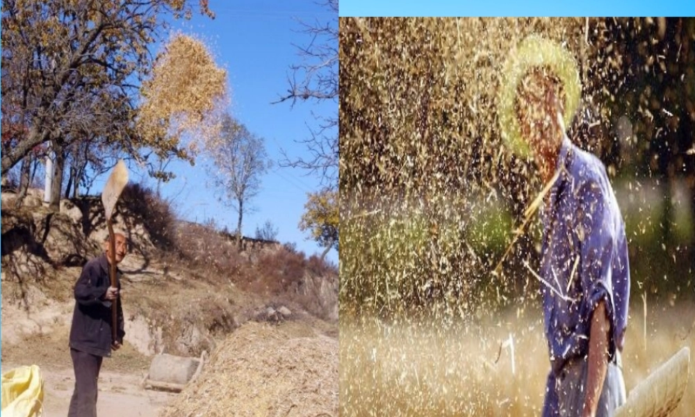 中学八年级物理上册 6.4 密度与社会生活课件 (新版)新人教版 课件