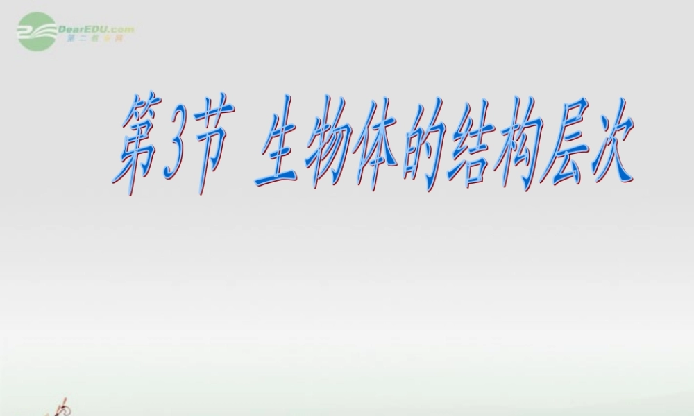 七年级科学上册 第2章 观察生物 第3节 生物体的结构层次(2)课件 浙教版 课件