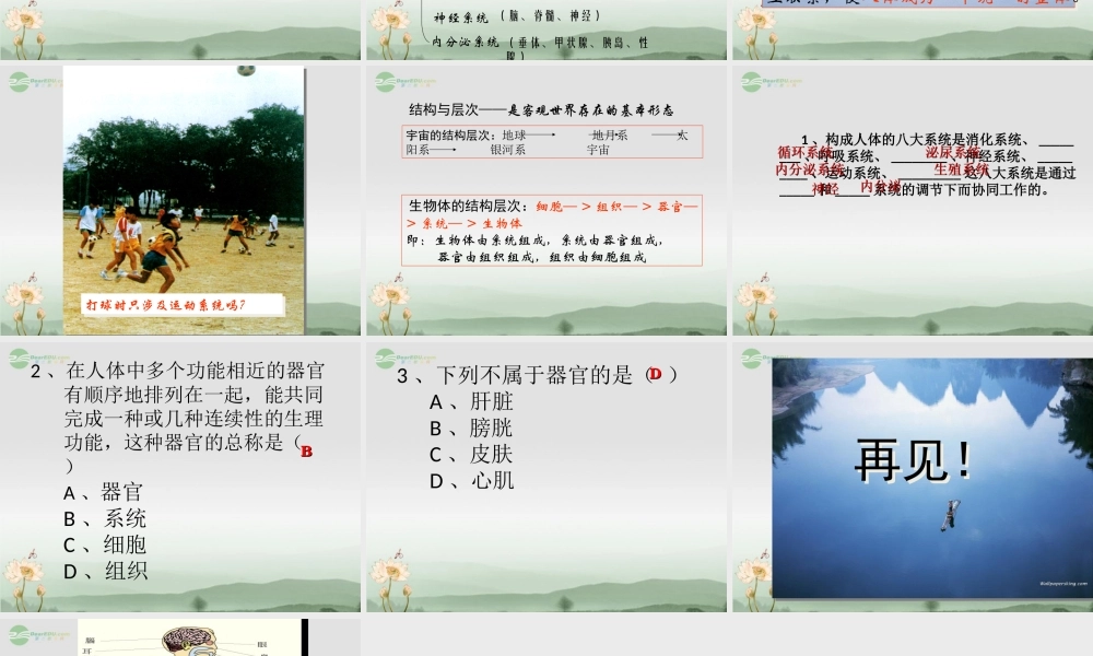 七年级科学上册 第2章 观察生物 第3节 生物体的结构层次(2)课件 浙教版 课件