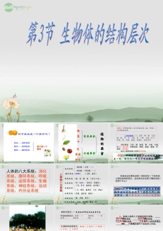 七年级科学上册 第2章 观察生物 第3节 生物体的结构层次(2)课件 浙教版 课件