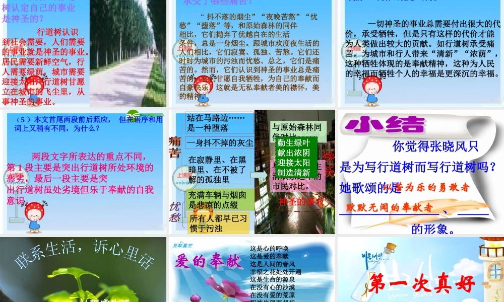 七年级语文上册 (短文两篇 行道树 第一次真好)教学课件 人教新课标版 课件