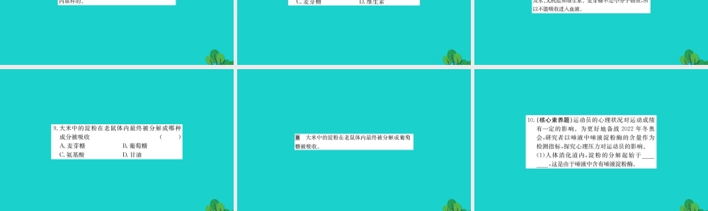 七年级生物下册 4.2.2 消化和吸收习题课件(新版)新人教版 课件