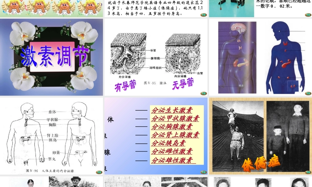 七年级生物下册激素调节课件新人教版 课件