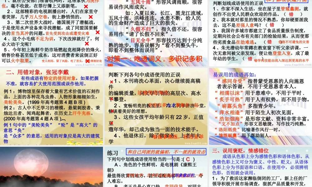 人教版高三语文复习正确使用成语课件