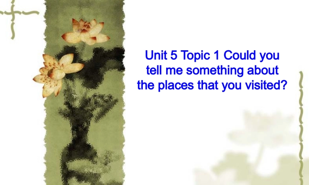 九年级英语Unit5 Topic 1 Section C 课件湘教版 九年级英语下册unit5仁爱版