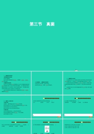 七年级生物上册 2.3.3 真菌课件 (新版)济南版 课件