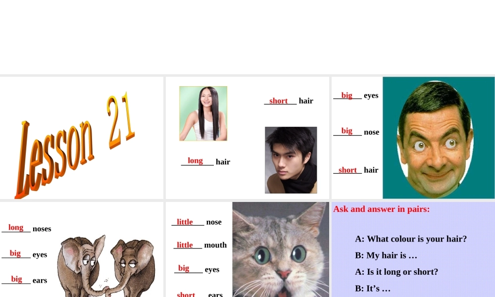 七年级英语Unit3 Body and feelings lesson21课件 冀教版 课件