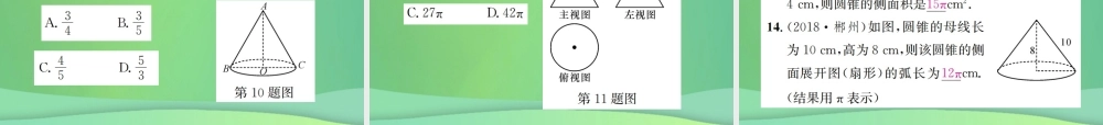 中考数学复习 第六单元 圆 第24讲 与圆相关的计算课件