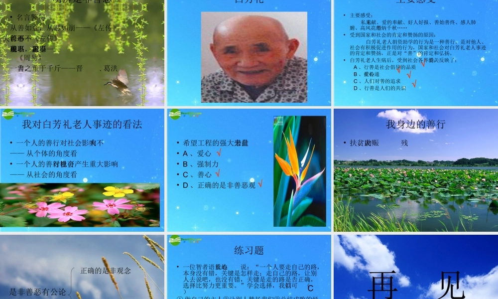 八年级政治下册 第十课 学会选择2 课件 陕教版 课件