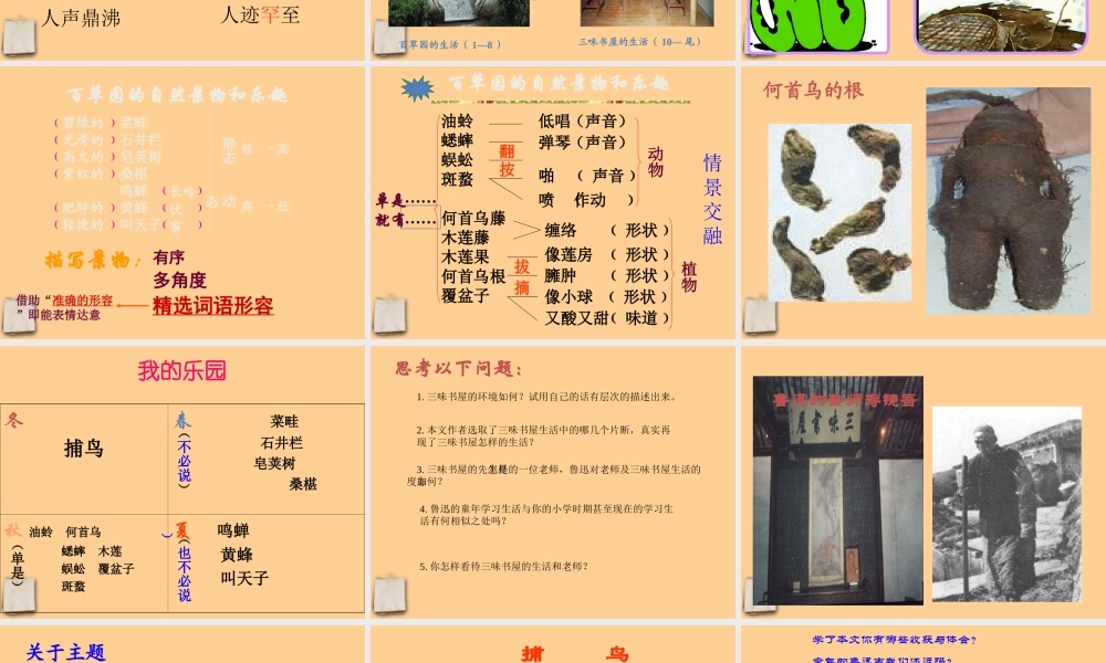 中学七年级语文 (从百草园到三味书屋)课件 人教新课标版 课件