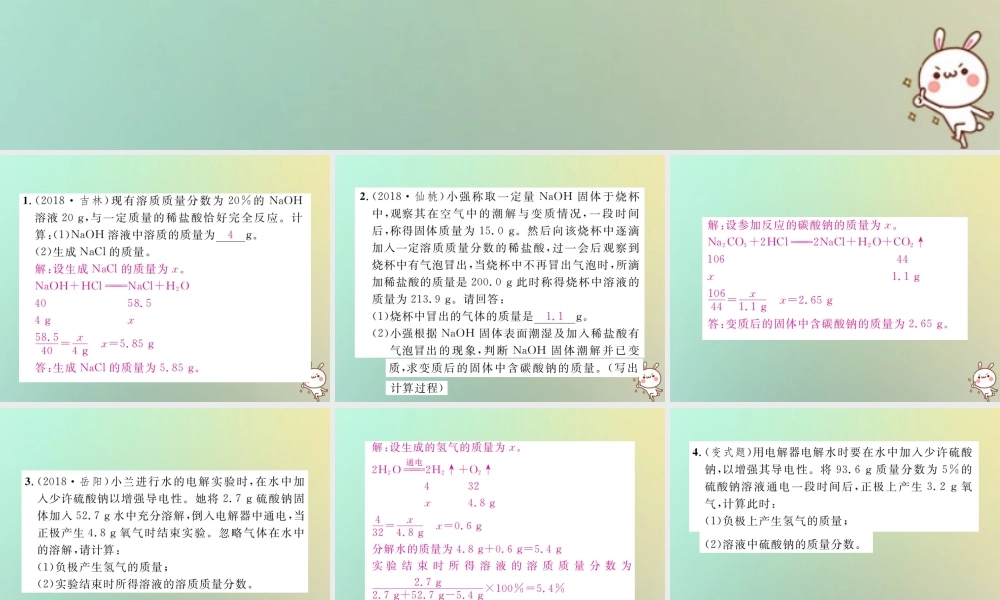 中考化学复习 题型复习(五)计算应用题 题型之一 文字叙述型课件