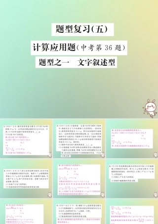 中考化学复习 题型复习(五)计算应用题 题型之一 文字叙述型课件
