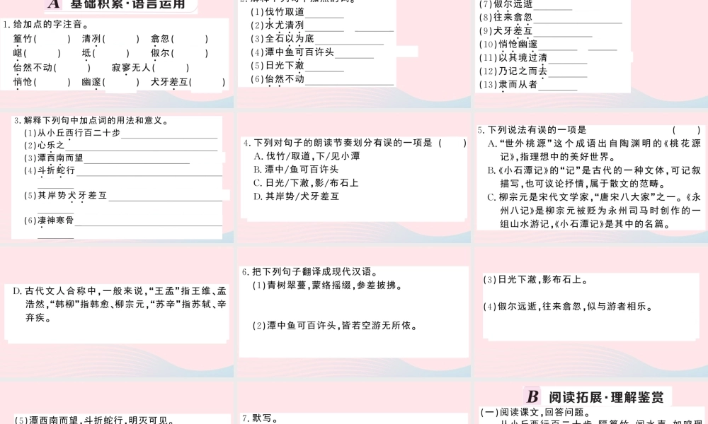 八年级语文下册 第三单元 10小石潭记习题课件 新人教版 课件