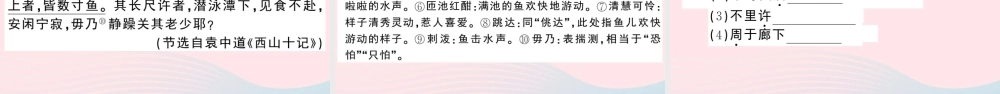 八年级语文下册 第三单元 10小石潭记习题课件 新人教版 课件