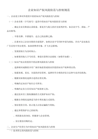 企业知识产权风险防范与控制规范(参照模板)