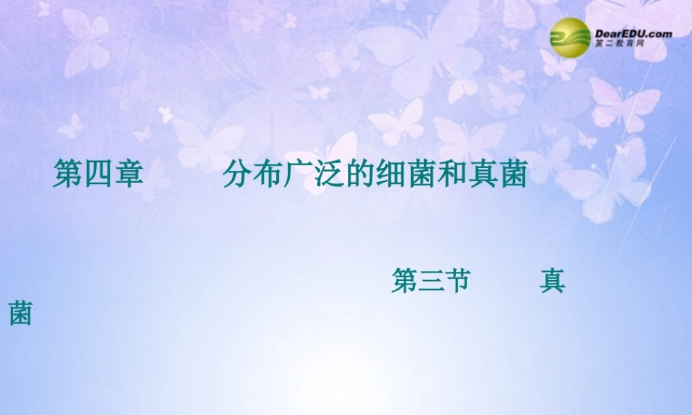 八年级生物上册 4.3 真菌课件 新人教版 课件