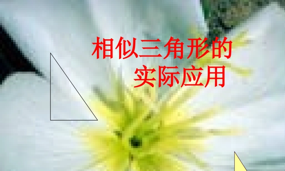 九年级数学上册 197相似三角形的应用 课件3 北京课改版 课件