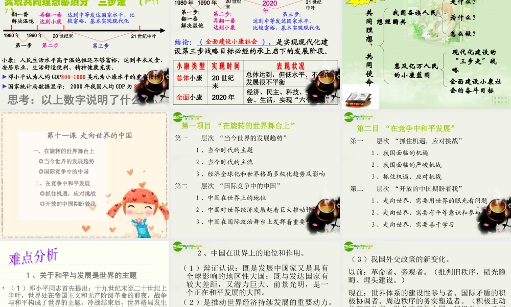 九年级政治 第四单元(我们的未来不是梦)复习课件 鲁教版 课件