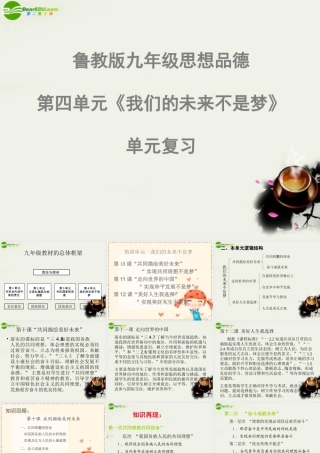 九年级政治 第四单元(我们的未来不是梦)复习课件 鲁教版 课件