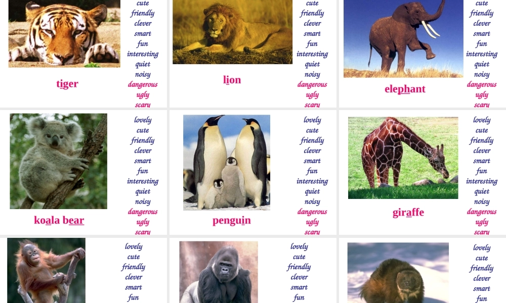 新目标七年级下 第三单元,很方便实用. 课件