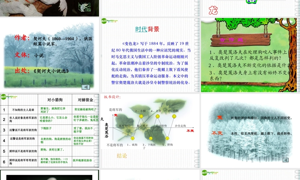 八年级语文上册 第26课(变色龙)课件 冀教版 课件