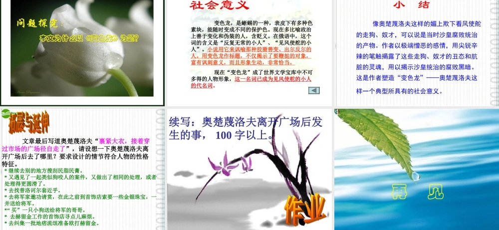 八年级语文上册 第26课(变色龙)课件 冀教版 课件