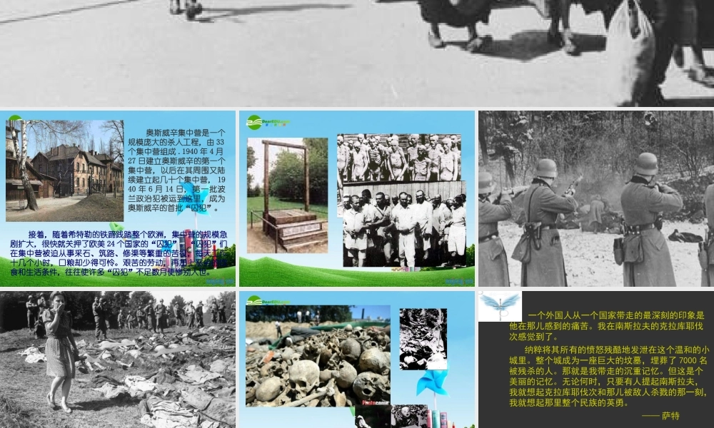 八年级语文上册 亲爱的爸爸妈妈课件 人教新课标版 课件
