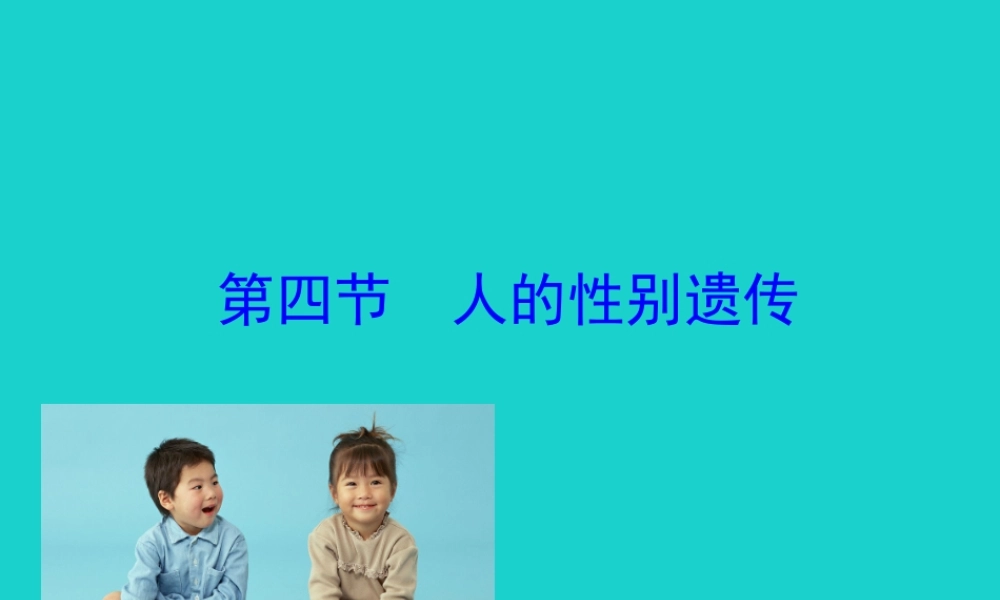 八年级生物下册 7.2.4 人的性别遗传课件(新版)新人教版 课件
