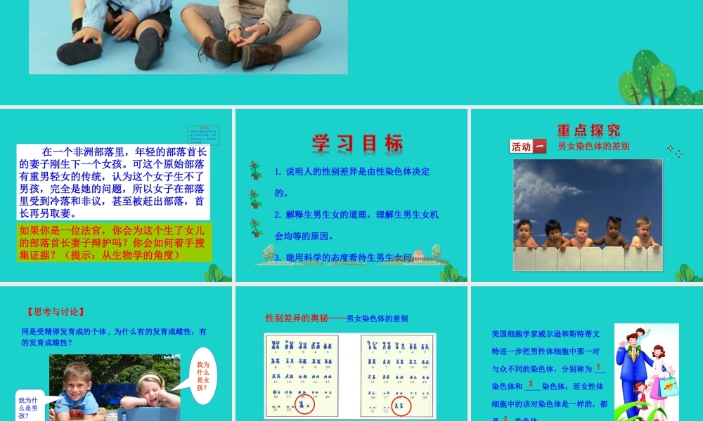 八年级生物下册 7.2.4 人的性别遗传课件(新版)新人教版 课件