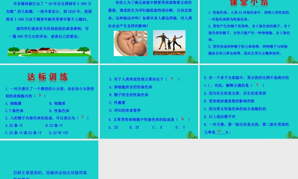 八年级生物下册 7.2.4 人的性别遗传课件(新版)新人教版 课件