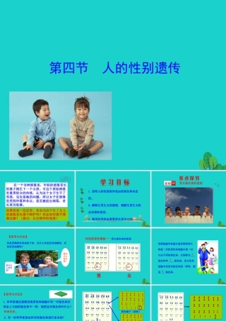 八年级生物下册 7.2.4 人的性别遗传课件(新版)新人教版 课件