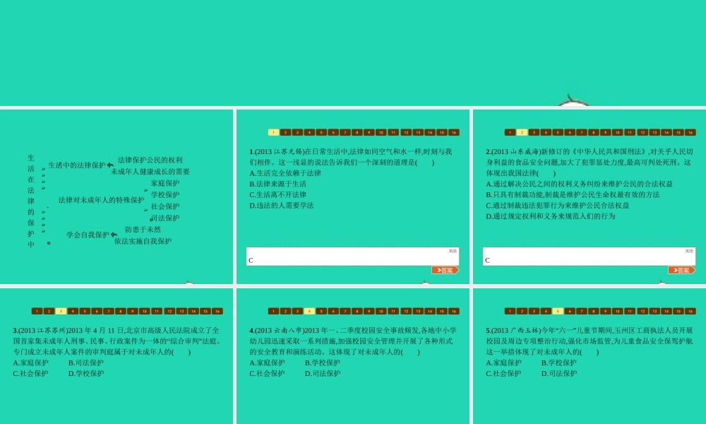八年级政治上册 第五单元 生活在法律的保护中单元整合课件 湘教版 课件