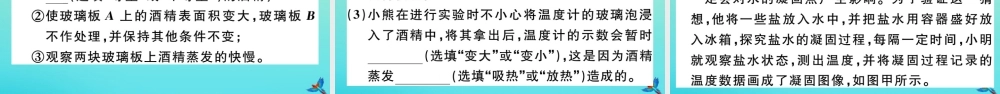 九年级物理全册 第十二章 温度与物态变化 专题一 物态变化实验习题讲评课件 (新版)沪科版 课件