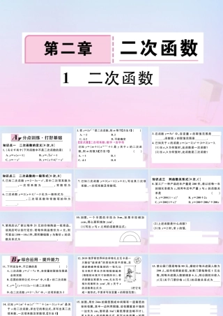九年级数学下册 第二章 二次函数 21 二次函数习题讲评课件 (新版)北师大版 课件