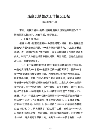 巡察反馈整改工作情况汇报