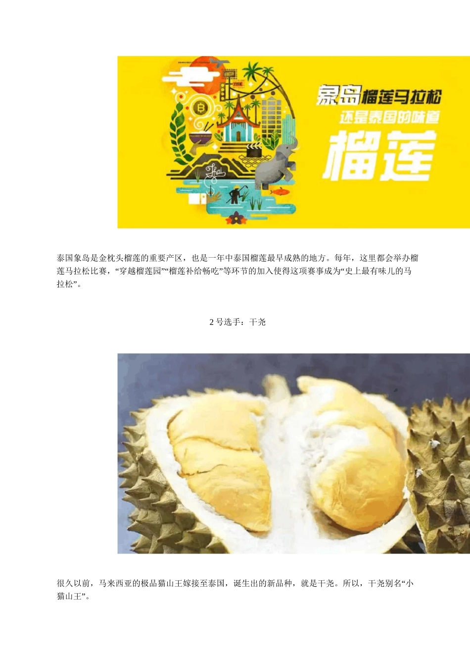 榴莲品种小全_第3页