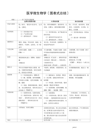 医学微生物学图表式总结