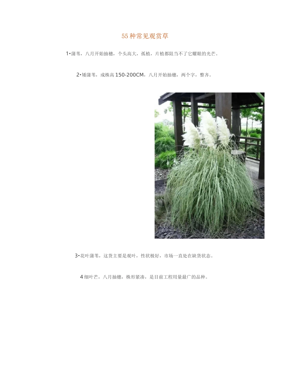 种常见观赏草_第1页