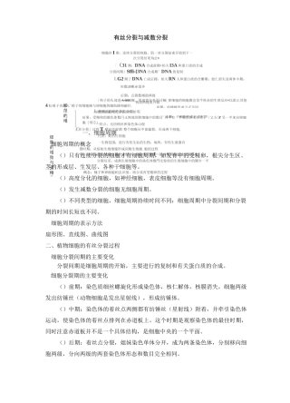 有丝分裂与减数分裂