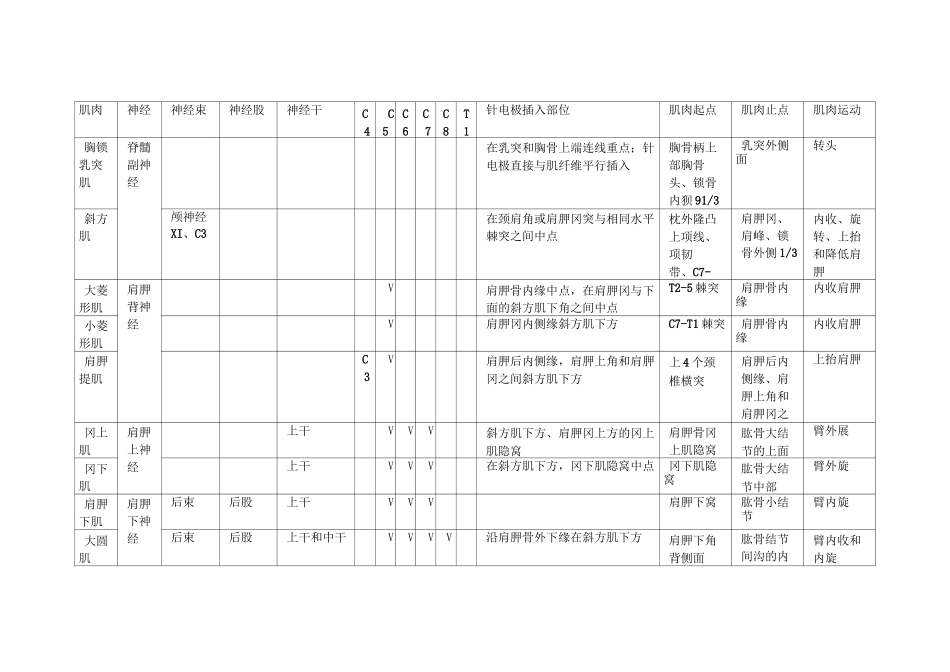 肌肉神经支配_第1页